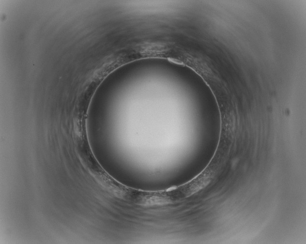 X0000072500755200607141129