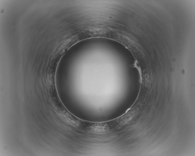 X0000072500756200607141129