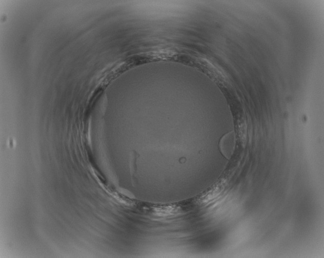 X0000072500757200607141129