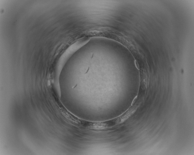 X0000072500758200607141129