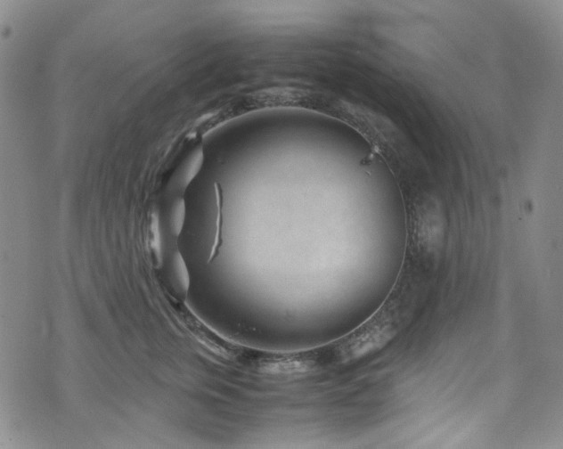 X0000072500759200607141129