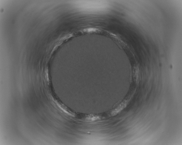 X0000072500760200607141129