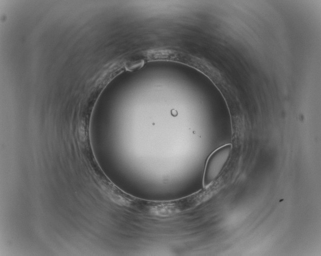 X0000072500761200607141129