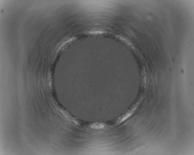 X0000072500762200607141129