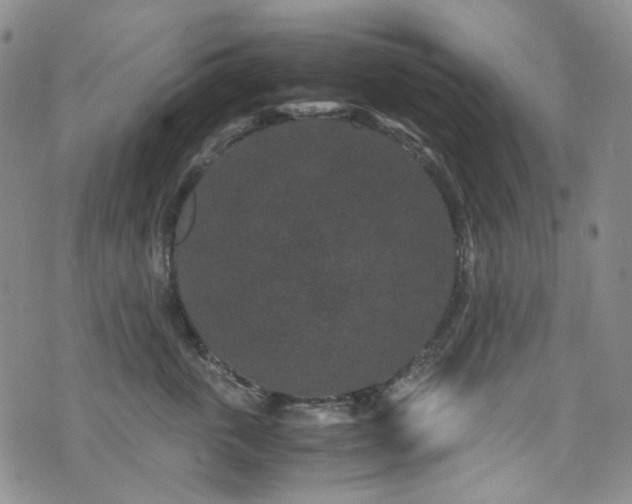 X0000072500763200607141129