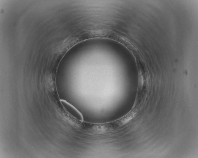 X0000072500764200607141129