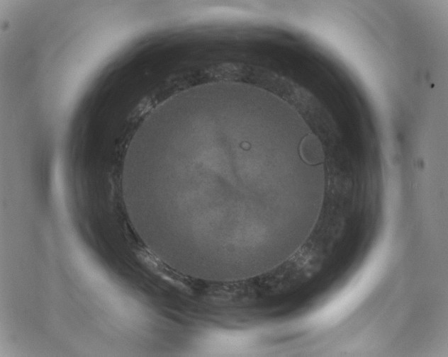 X0000072500765200607141129