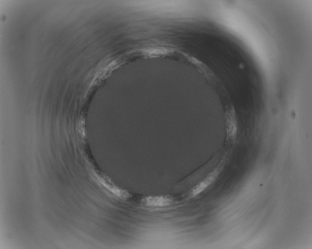 X0000072500766200607141129