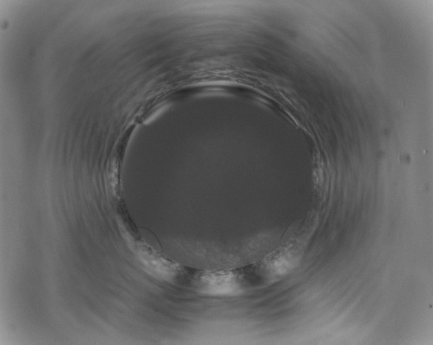 X0000072500767200607141129