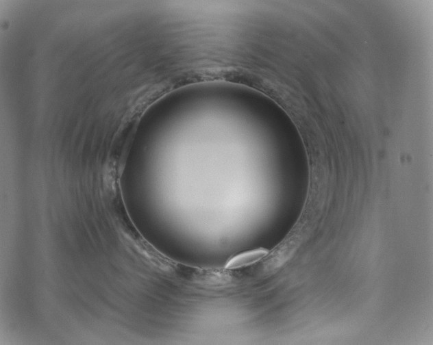 X0000072500768200607141129