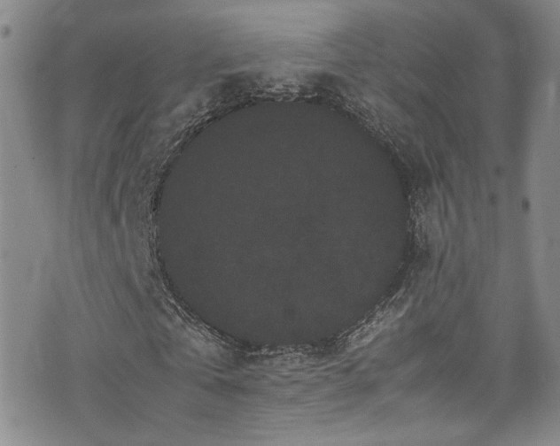 X0000072500769200607141129