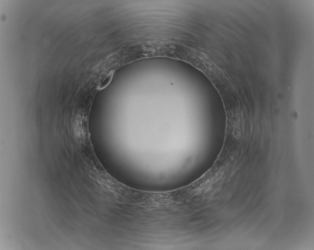 X0000072500770200607141129