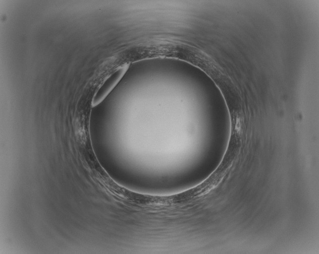 X0000072500771200607141129