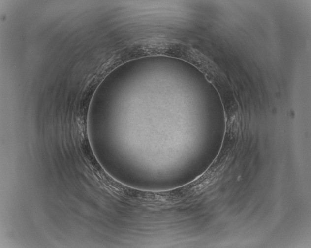 X0000072500772200607141129