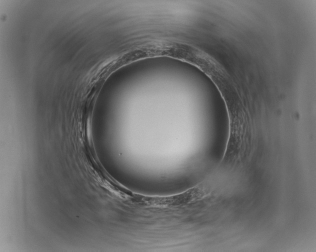 X0000072500773200607141129