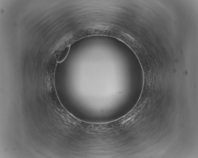 X0000072500774200607141129