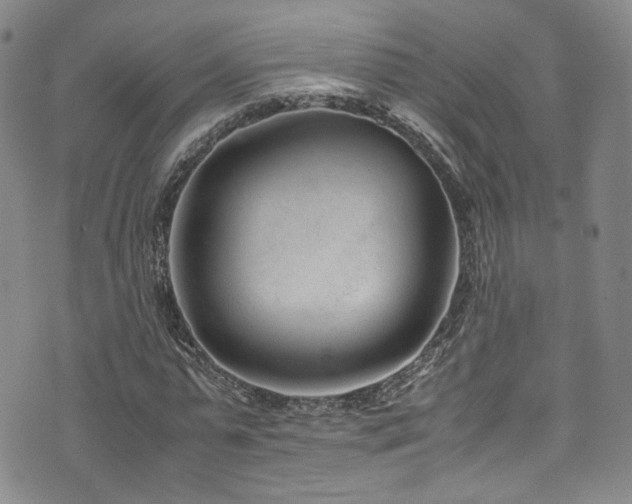 X0000072500775200607141128