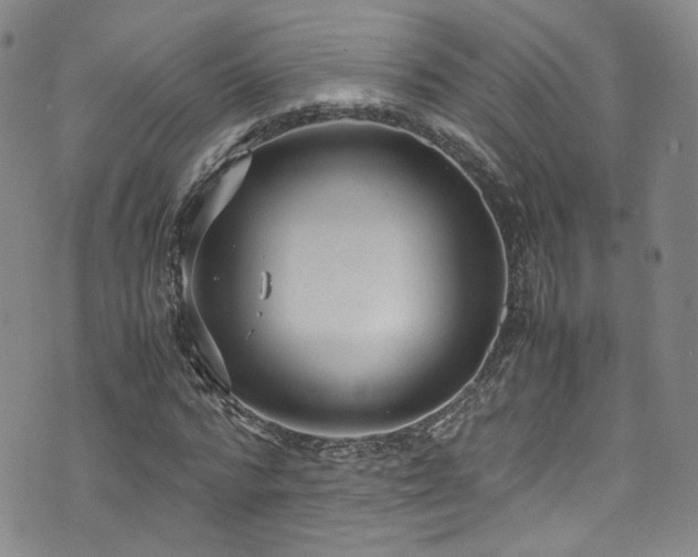 X0000072500776200607141128