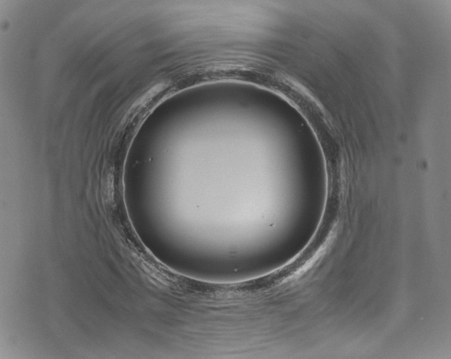 X0000072500777200607141128