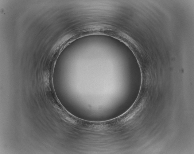 X0000072500778200607141128