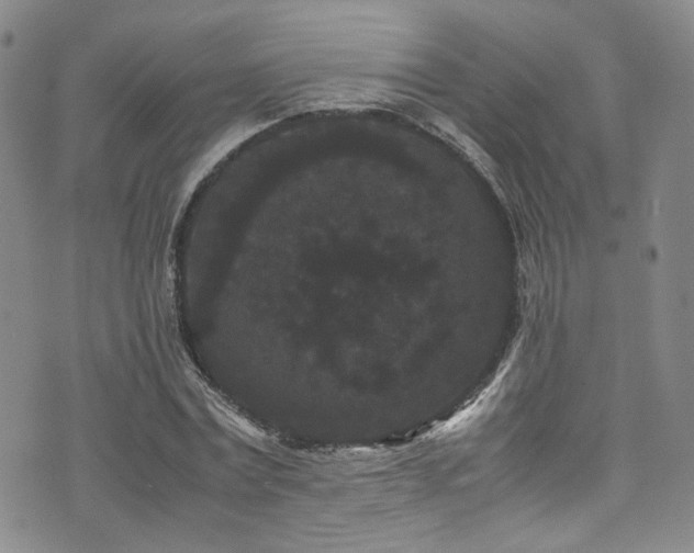 X0000072500779200607141128