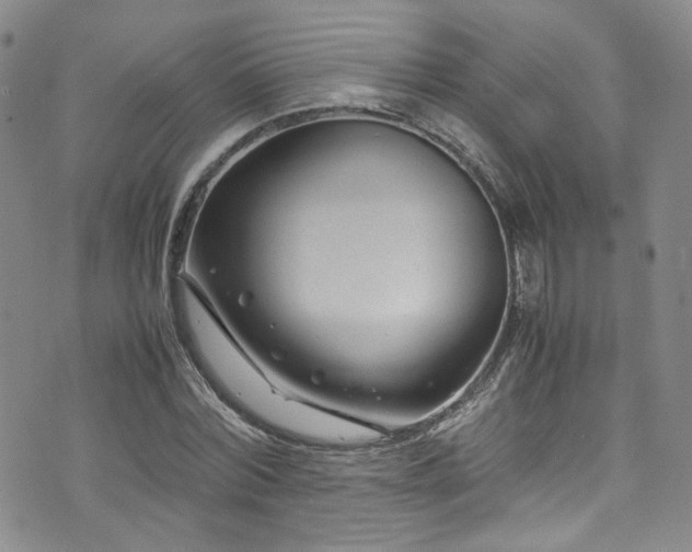 X0000072500780200607141128