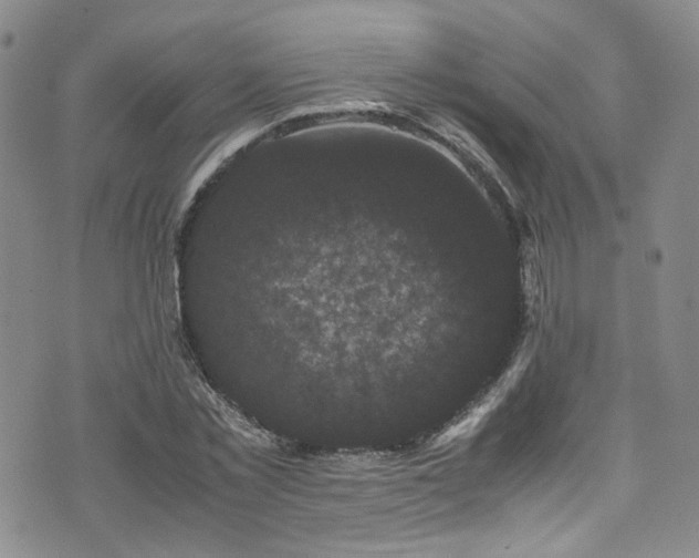 X0000072500781200607141128