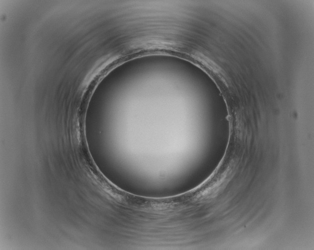 X0000072500782200607141128