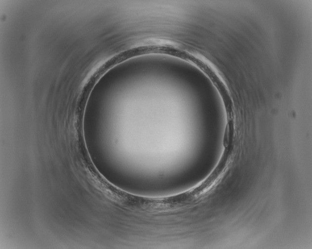 X0000072500783200607141128