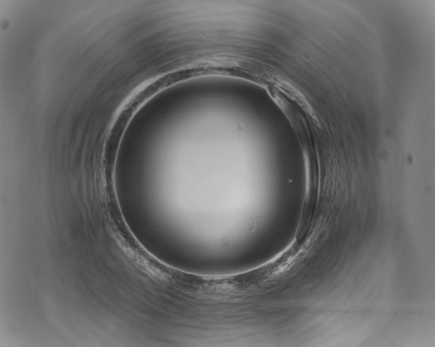 X0000072500784200607141128