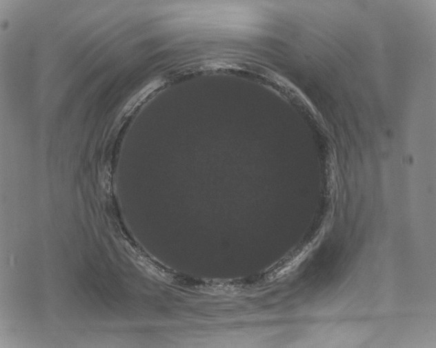 X0000072500785200607141128