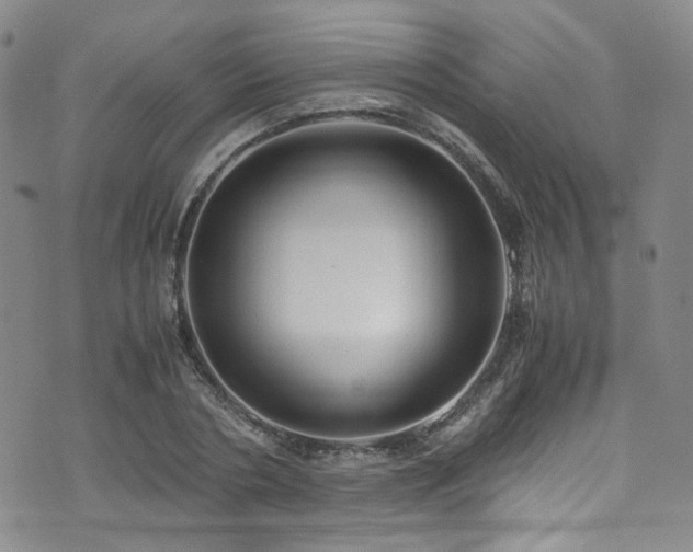 X0000072500786200607141128