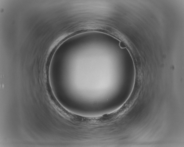 X0000072500787200607141128