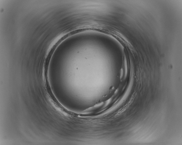 X0000072500788200607141128