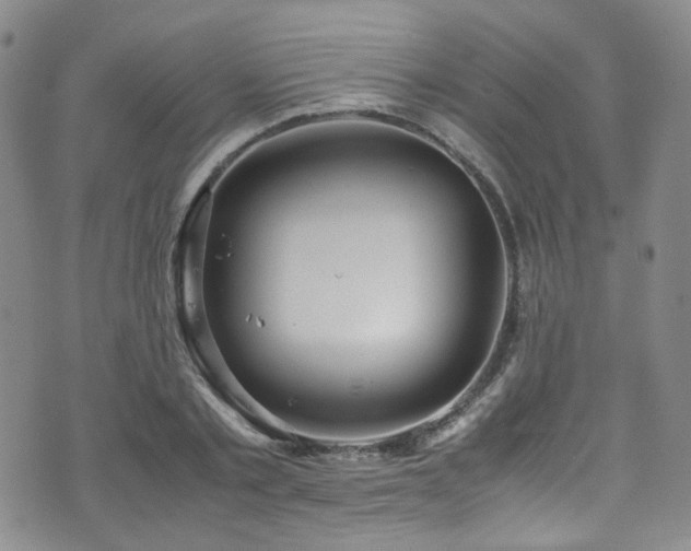 X0000072500789200607141128