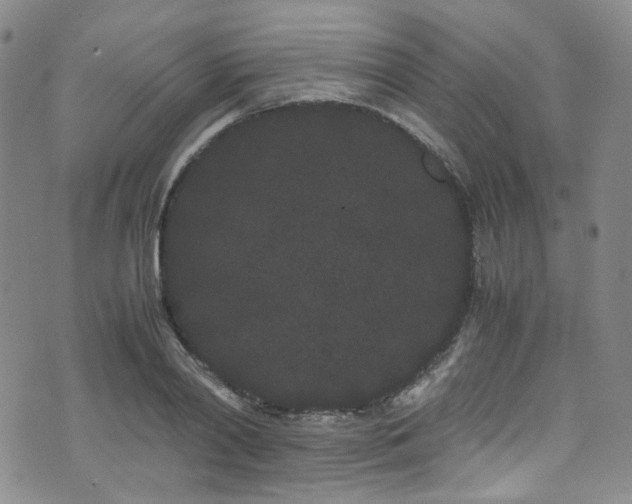 X0000072500790200607141128