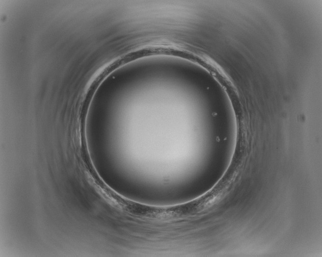 X0000072500791200607141128