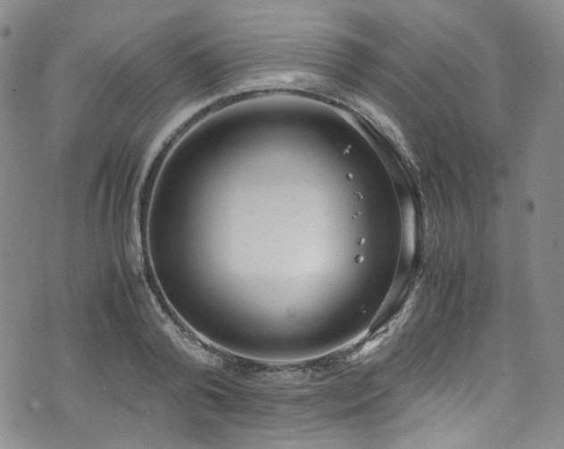 X0000072500792200607141128