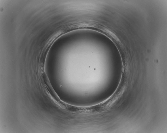 X0000072500793200607141128