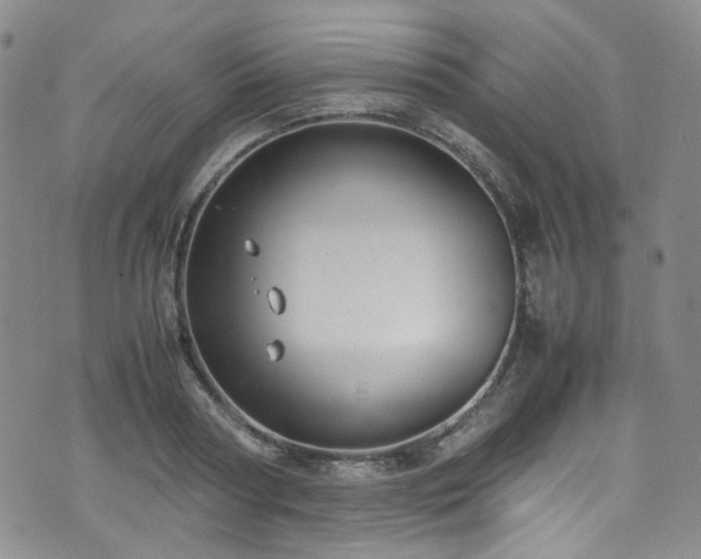 X0000072500794200607141128