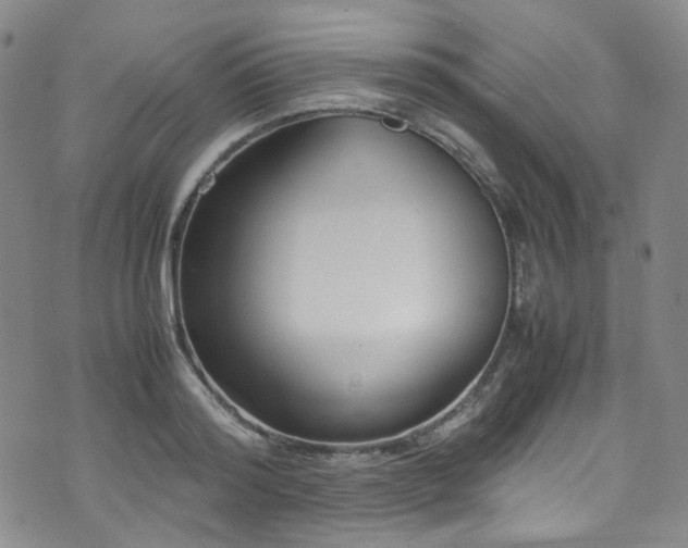 X0000072500796200607141128