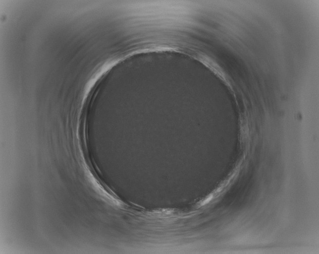 X0000072500797200607141128