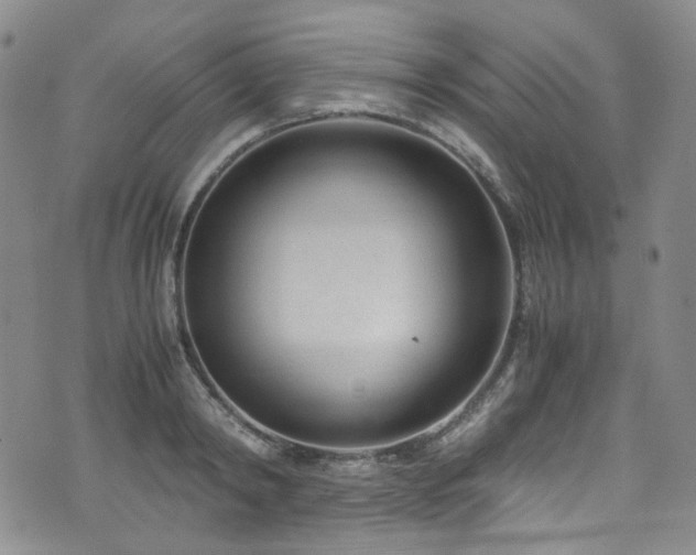 X0000072500798200607141128