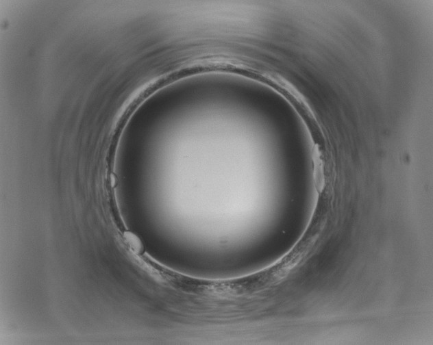 X0000072500799200607141128