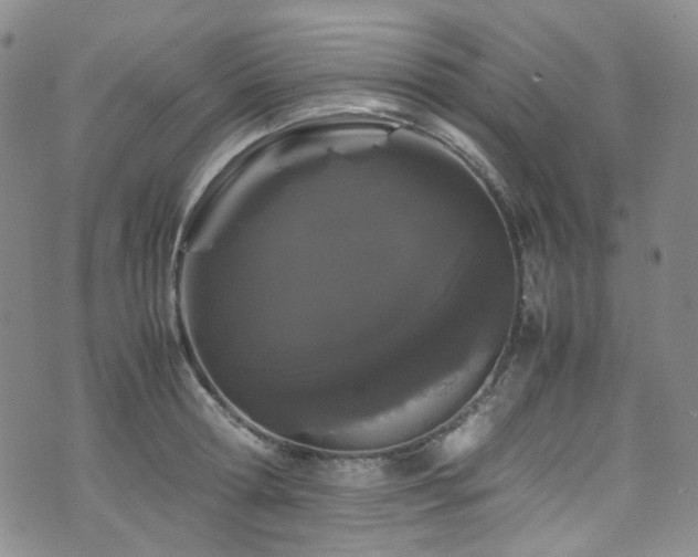 X0000072500802200607141128