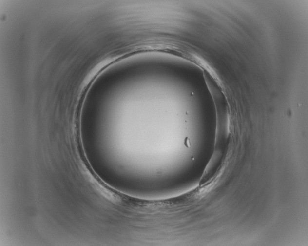 X0000072500803200607141128