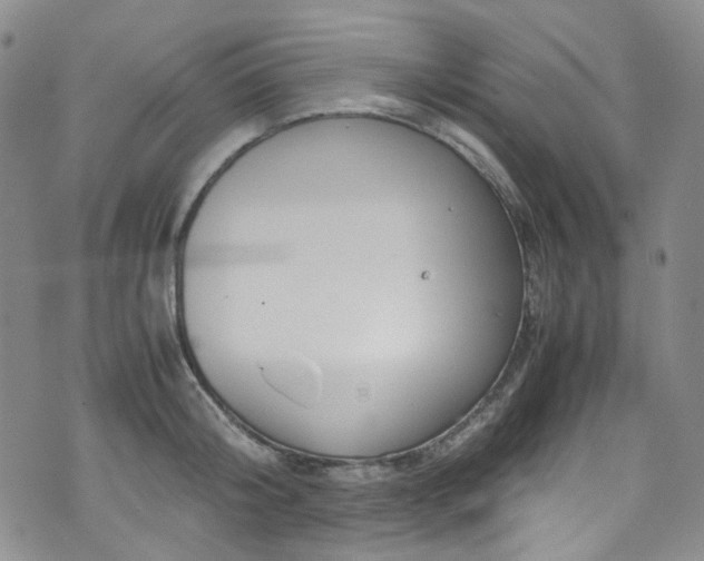 X0000072500804200607141128