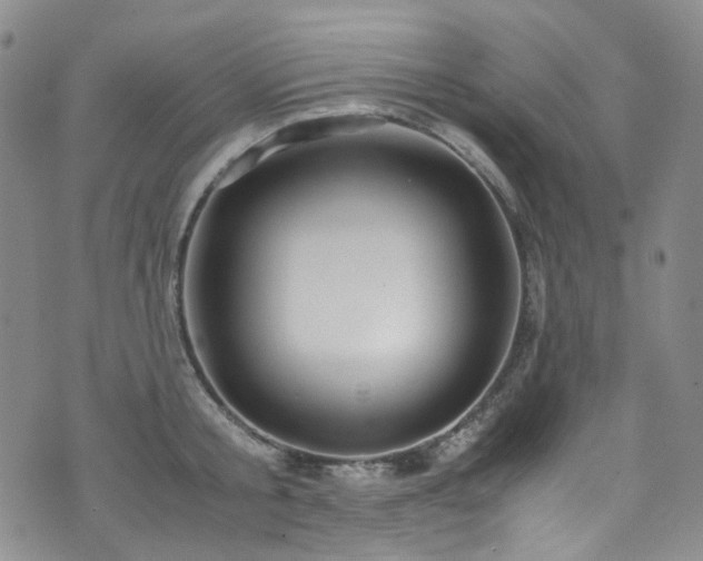 X0000072500805200607141128