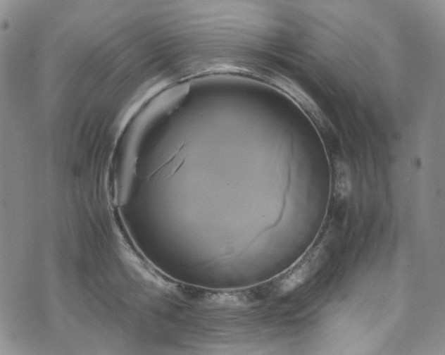 X0000072500806200607141128