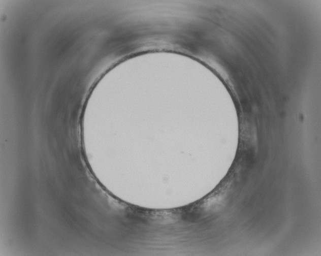 X0000072500807200607141128